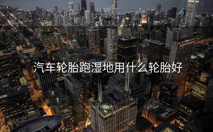  汽车轮胎跑湿地用什么轮胎好