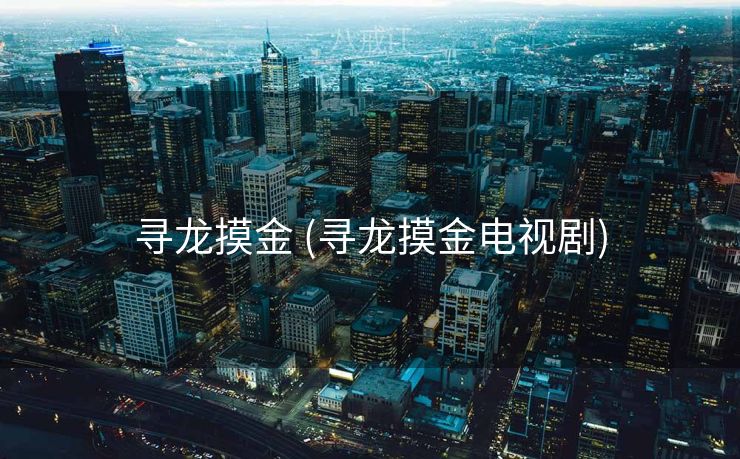 寻龙摸金 (寻龙摸金电视剧)
