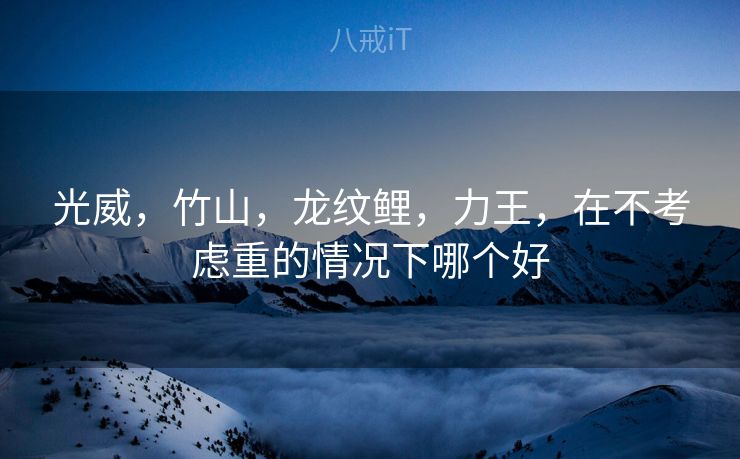 光威，竹山，龙纹鲤，力王，在不考虑重的情况下哪个好