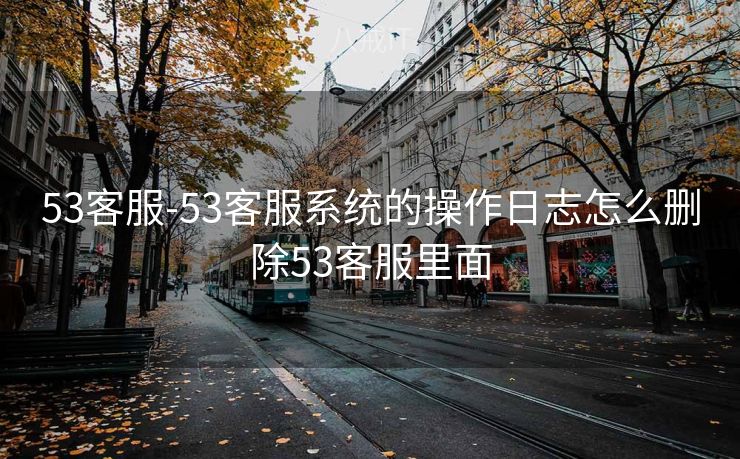 53客服-53客服系统的操作日志怎么删除53客服里面