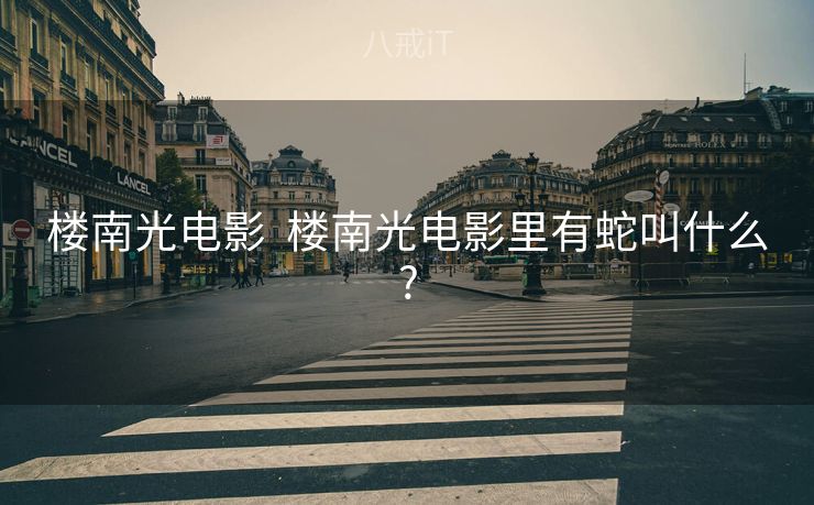 楼南光电影  楼南光电影里有蛇叫什么?