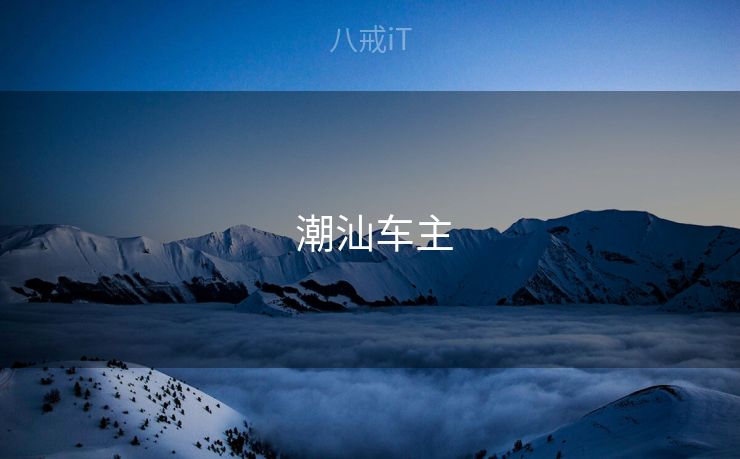  潮汕车主
