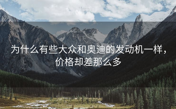 为什么有些大众和奥迪的发动机一样，价格却差那么多