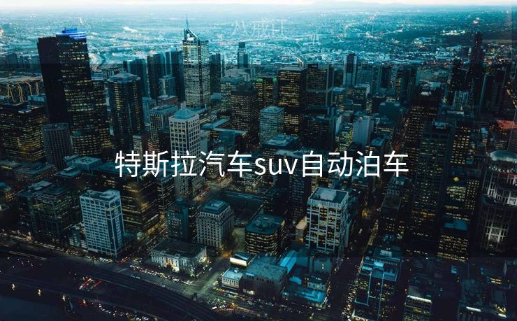  特斯拉汽车suv自动泊车