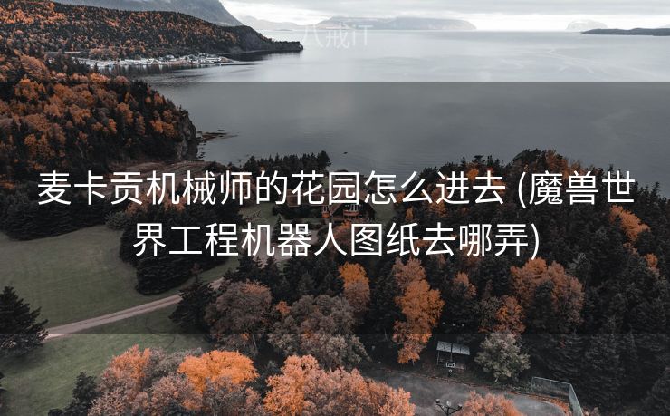 麦卡贡机械师的花园怎么进去 (魔兽世界工程机器人图纸去哪弄)
