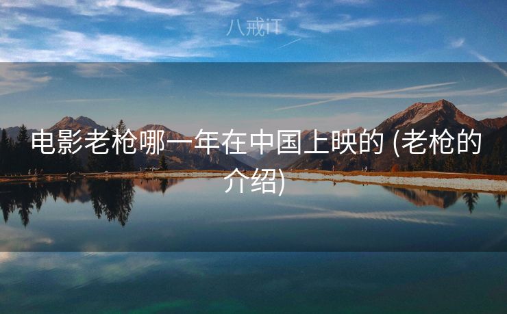 电影老枪哪一年在中国上映的 (老枪的介绍)