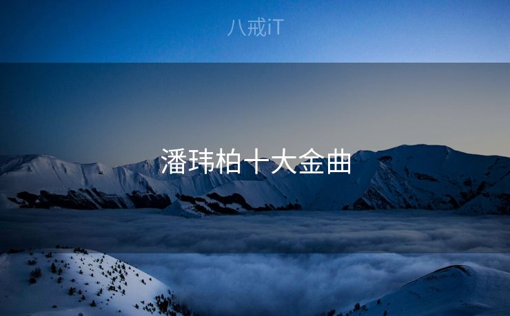 潘玮柏十大金曲