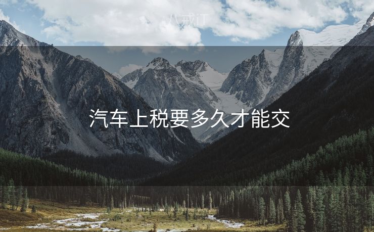 汽车上税要多久才能交
