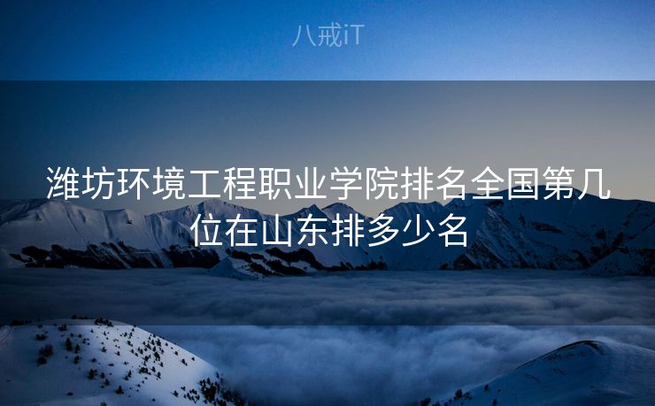 潍坊环境工程职业学院排名全国第几位在山东排多少名