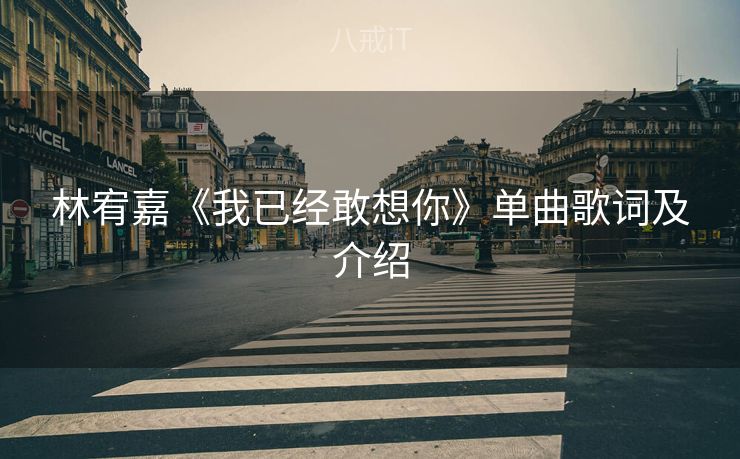 林宥嘉《我已经敢想你》单曲歌词及介绍
