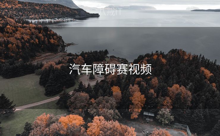 汽车障碍赛视频