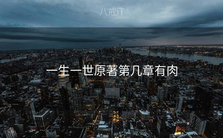 一生一世原著第几章有肉