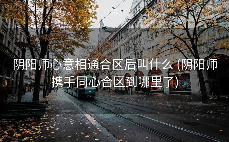 阴阳师心意相通合区后叫什么 (阴阳师携手同心合区到哪里了)