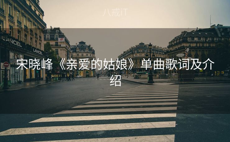 宋晓峰《亲爱的姑娘》单曲歌词及介绍