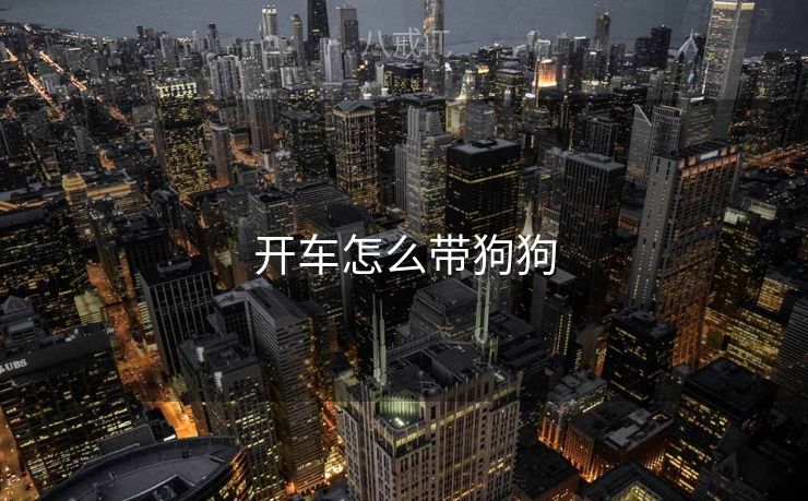 开车怎么带狗狗