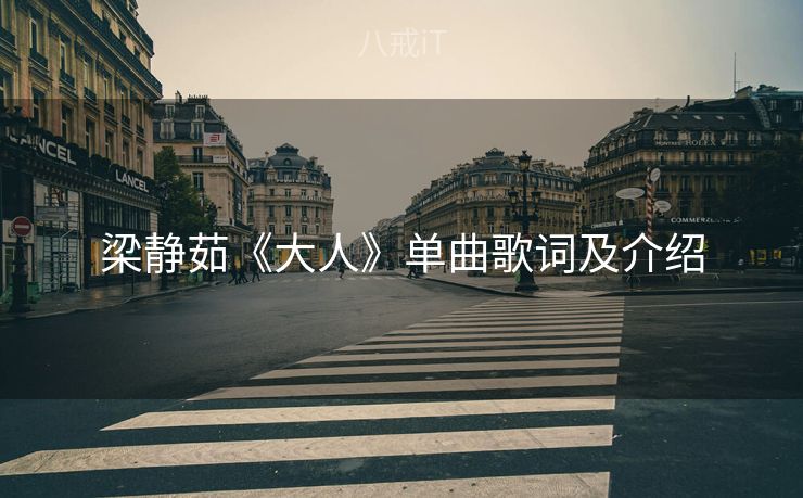 梁静茹《大人》单曲歌词及介绍