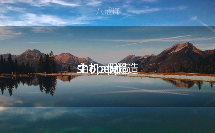 shopex假造
主机_假造
主机app