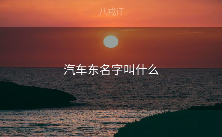 汽车东名字叫什么