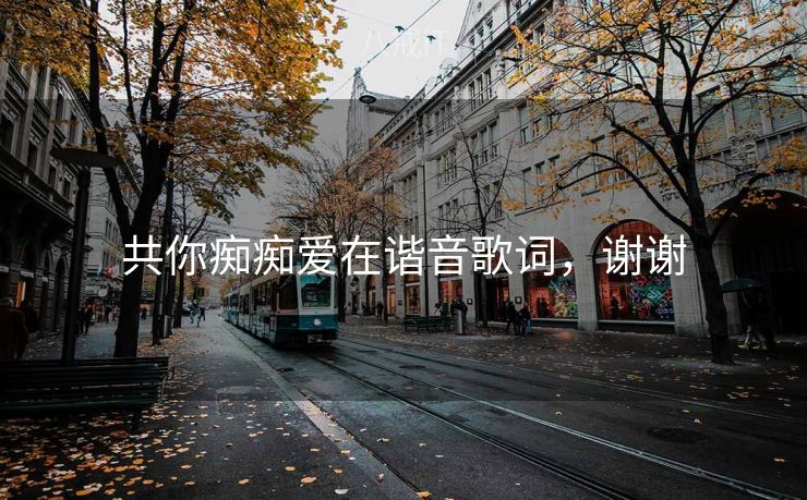 共你痴痴爱在谐音歌词，谢谢