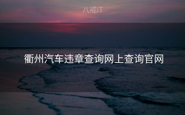  衢州汽车违章查询网上查询官网