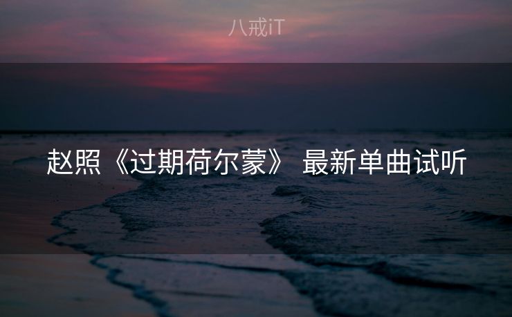 赵照《过期荷尔蒙》 最新单曲试听