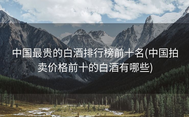 中国最贵的白酒排行榜前十名(中国拍卖价格前十的白酒有哪些)