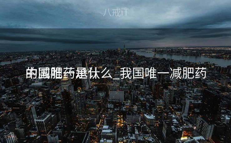 中国唯一承认
的减肥药是什么_我国唯一减肥药