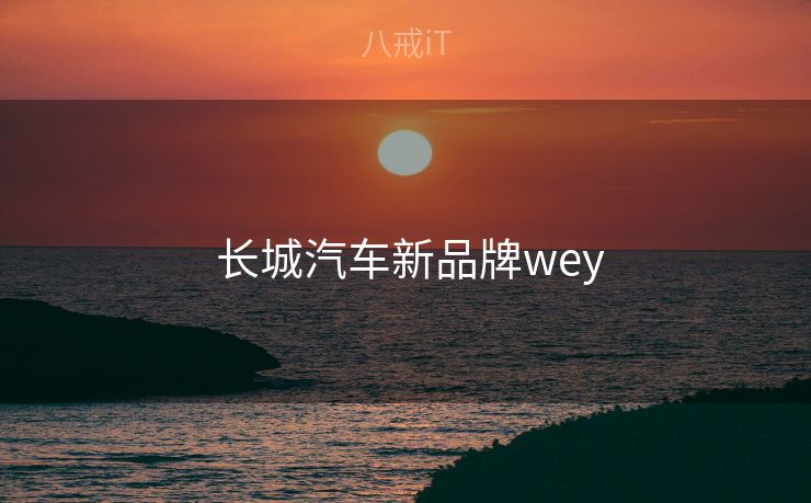  长城汽车新品牌wey