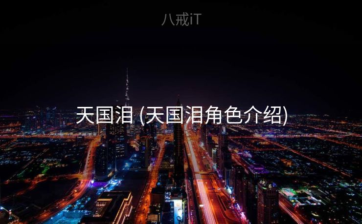 天国泪 (天国泪角色介绍)