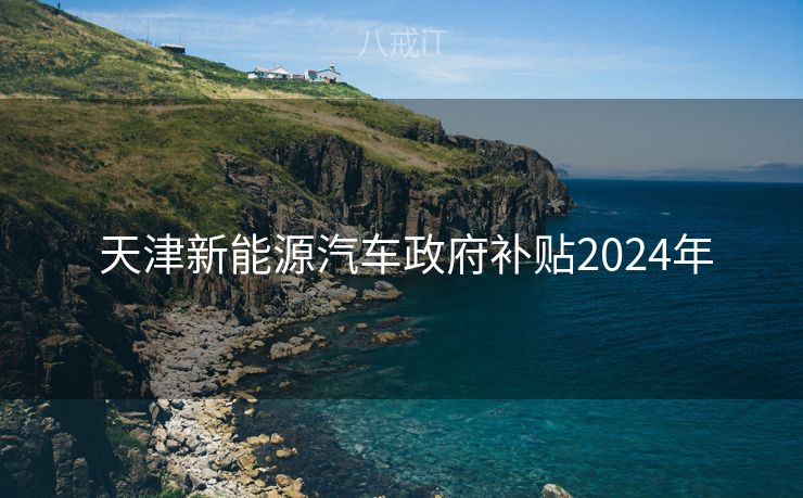  天津新能源汽车政府补贴2024年
