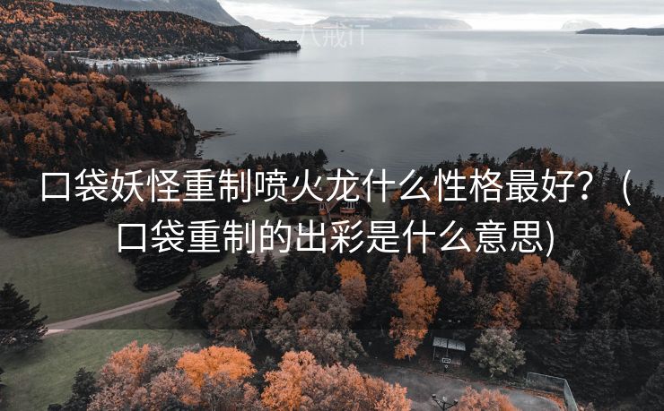 口袋妖怪重制喷火龙什么性格最好？ (口袋重制的出彩是什么意思)