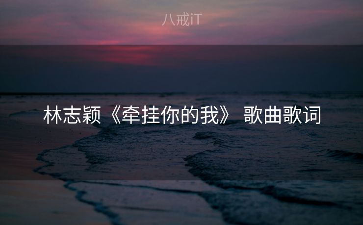林志颖《牵挂你的我》 歌曲歌词