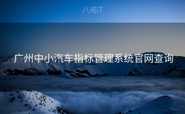  广州中小汽车指标管理系统官网查询