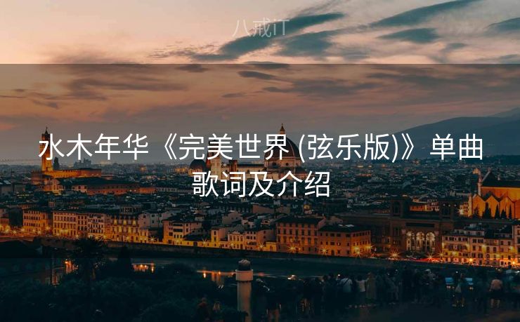 水木年华《完美世界 (弦乐版)》单曲歌词及介绍