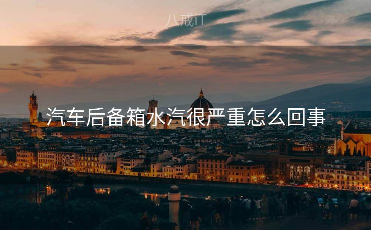 汽车后备箱水汽很严重怎么回事
