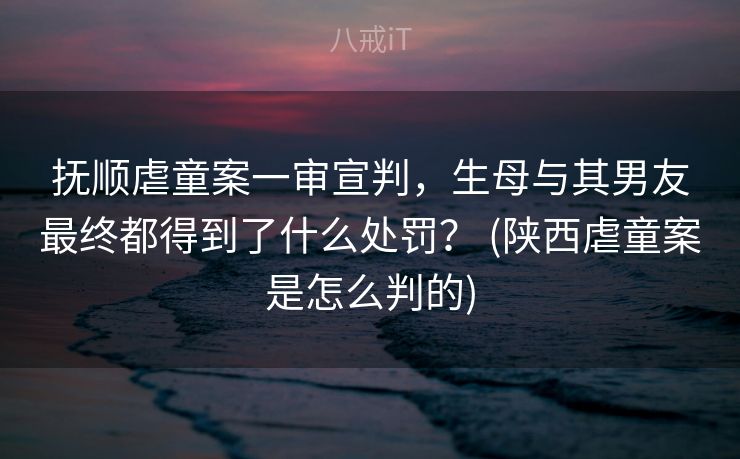 抚顺虐童案一审宣判，生母与其男友最终都得到了什么处罚？ (陕西虐童案是怎么判的)