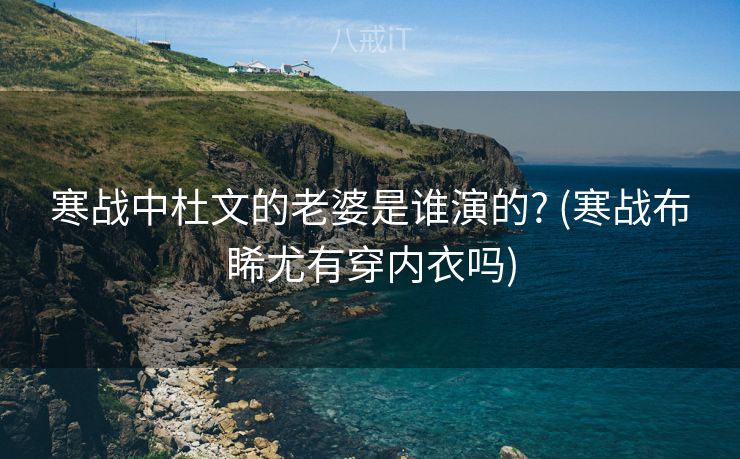 寒战中杜文的老婆是谁演的? (寒战布睎尤有穿内衣吗)