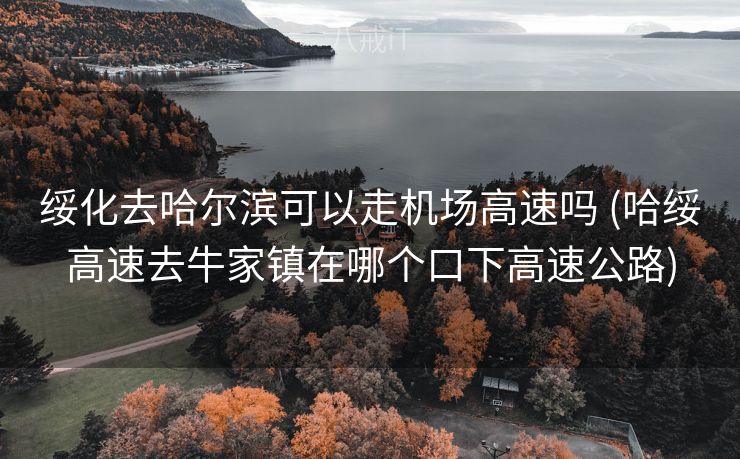 绥化去哈尔滨可以走机场高速吗 (哈绥高速去牛家镇在哪个口下高速公路)