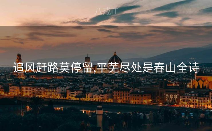 追风赶路莫停留,平芜尽处是春山全诗