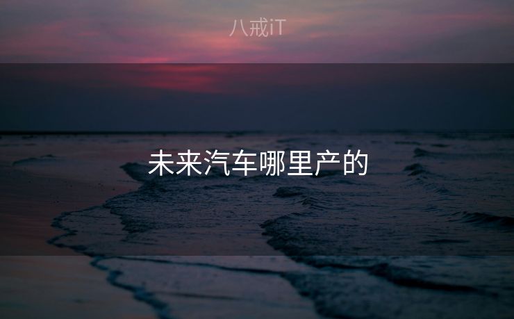 未来汽车哪里产的