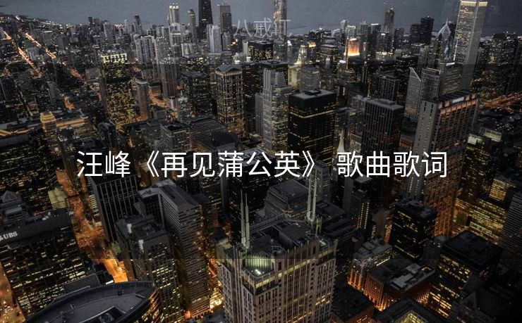 汪峰《再见蒲公英》 歌曲歌词
