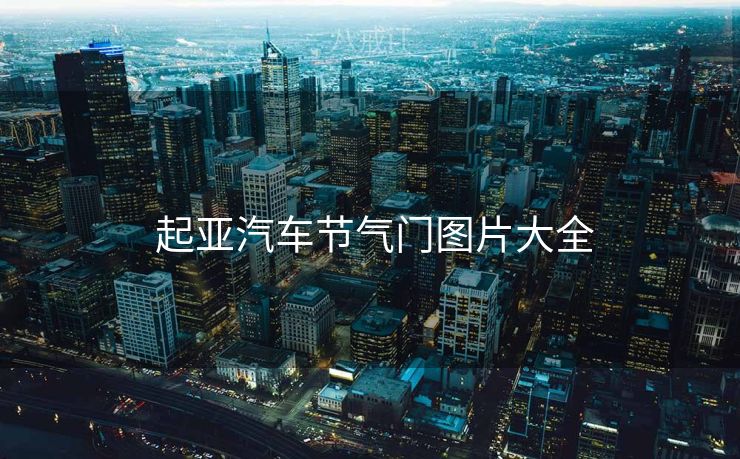  起亚汽车节气门图片大全