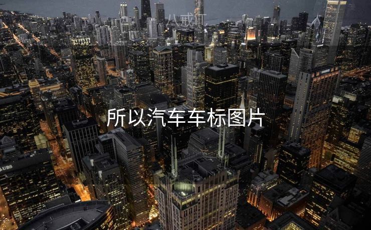 所以汽车车标图片