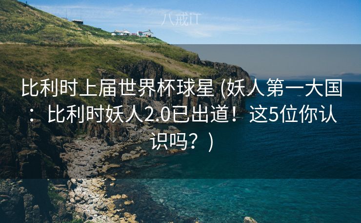 比利时上届世界杯球星 (妖人第一大国：比利时妖人2.0已出道！这5位你认识吗？)