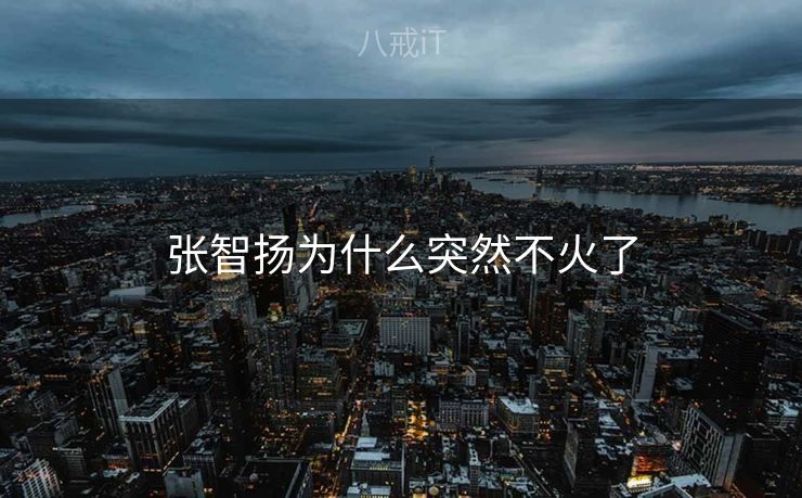 张智扬为什么突然不火了