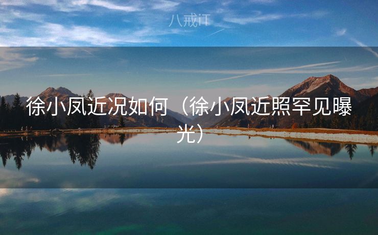 徐小凤近况如何（徐小凤近照罕见曝光）