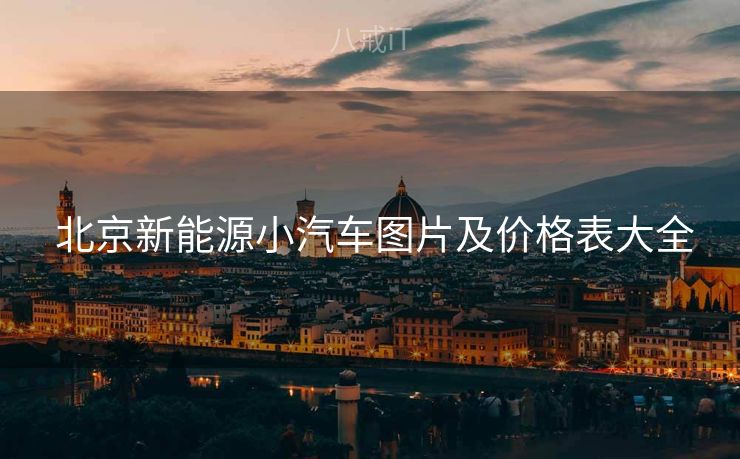  北京新能源小汽车图片及价格表大全