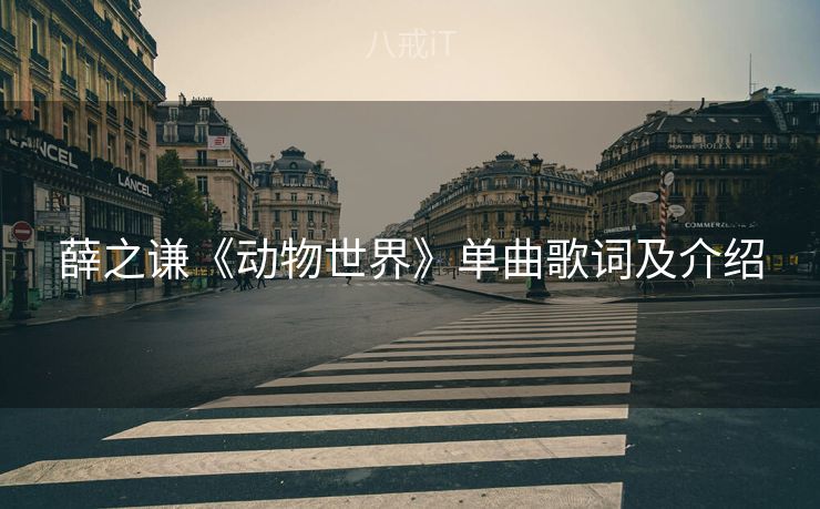 薛之谦《动物世界》单曲歌词及介绍