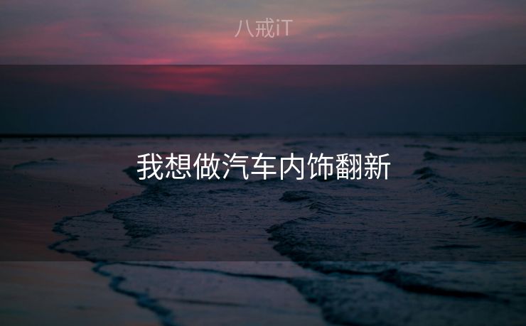 我想做汽车内饰翻新