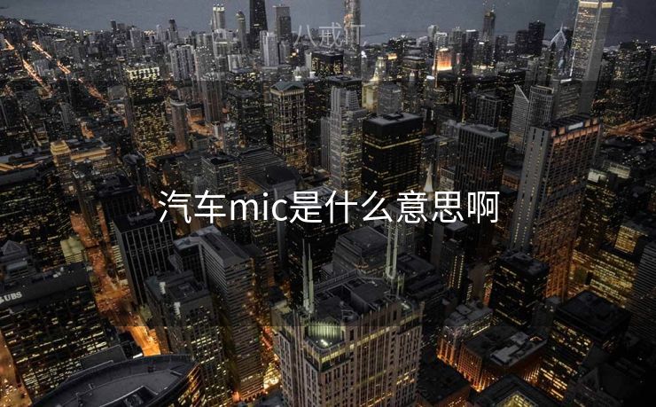 汽车mic是什么意思啊